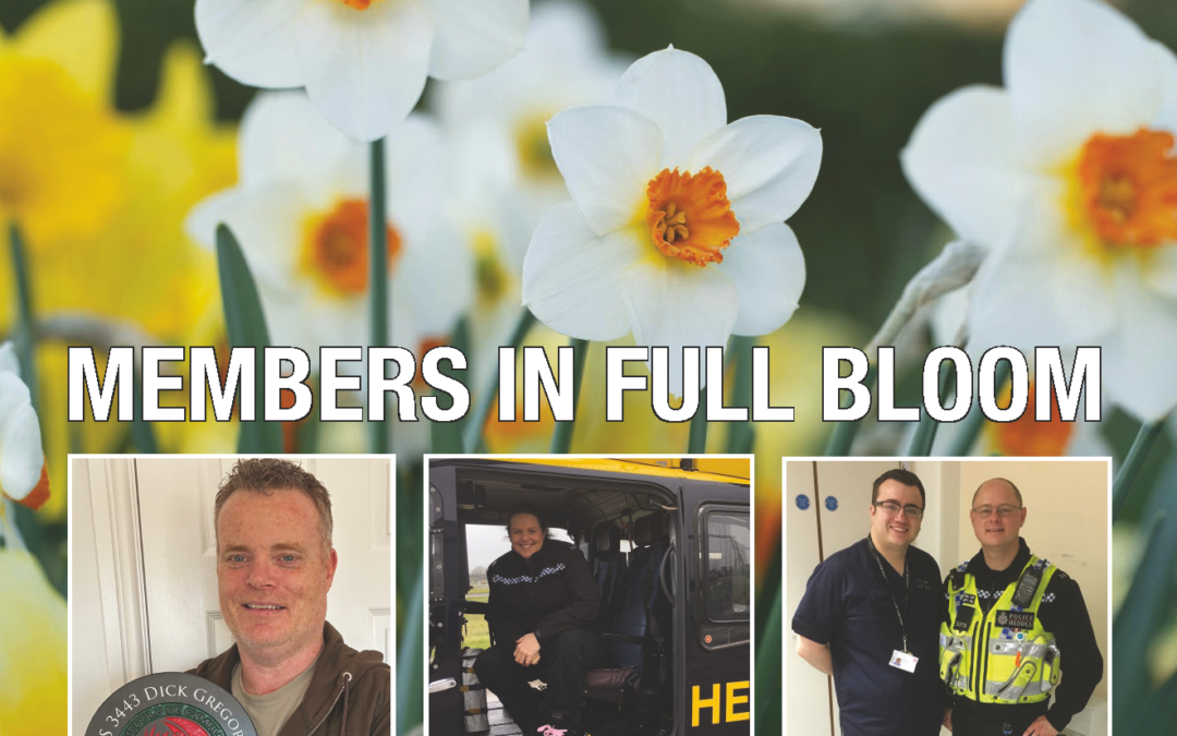 Spring edition of Federation Focus out now